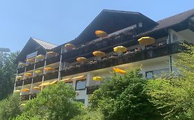 Hotel Schauinsland