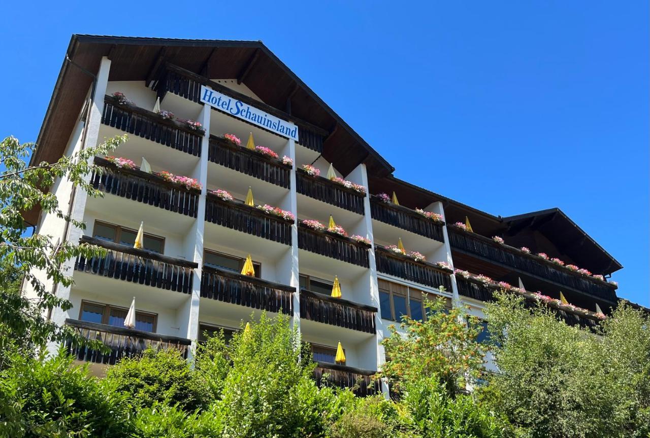 Hotel Schauinsland Bad Peterstal-Griesbach Exterior photo