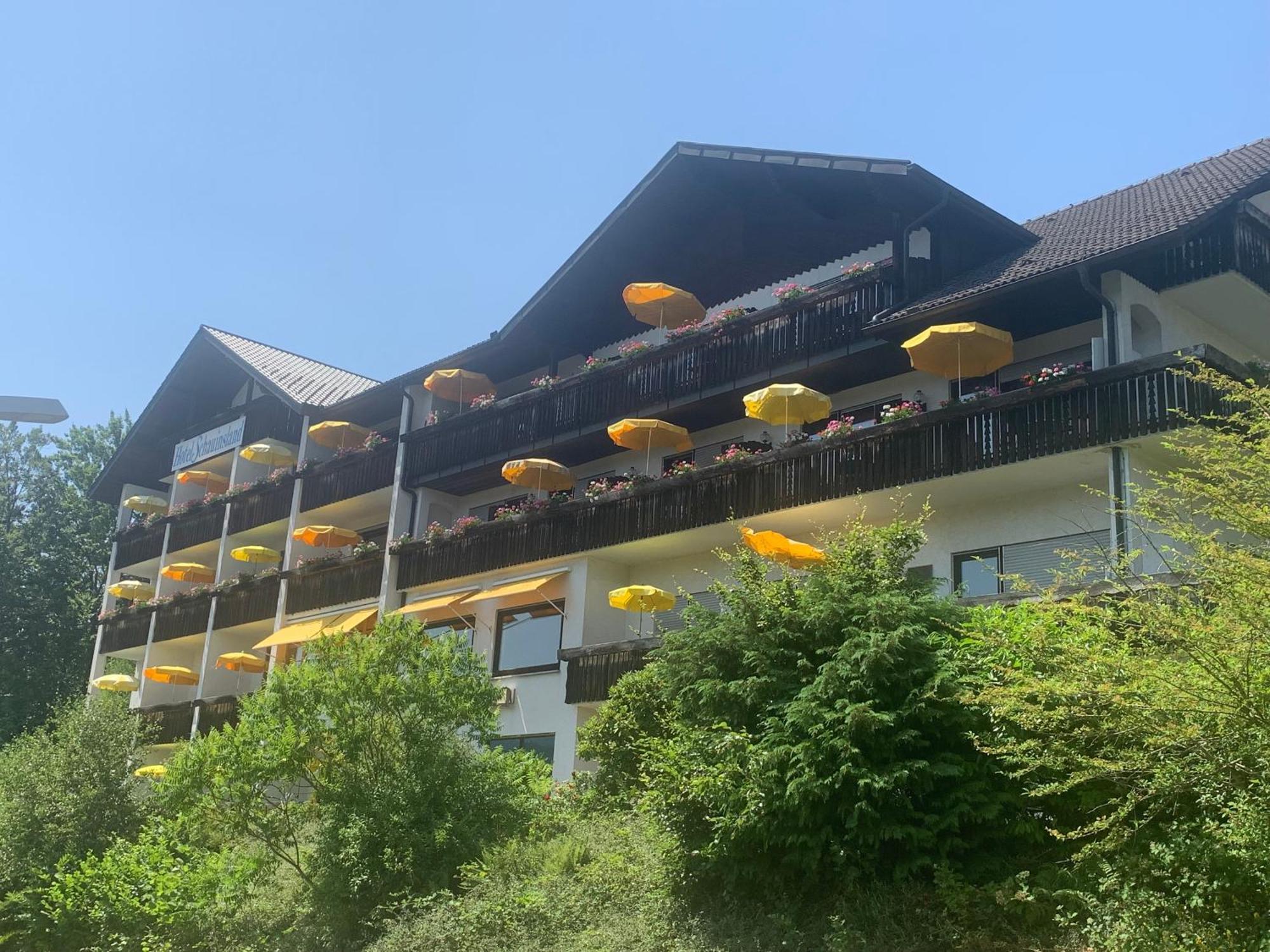 Hotel Schauinsland Bad Peterstal-Griesbach Exterior photo