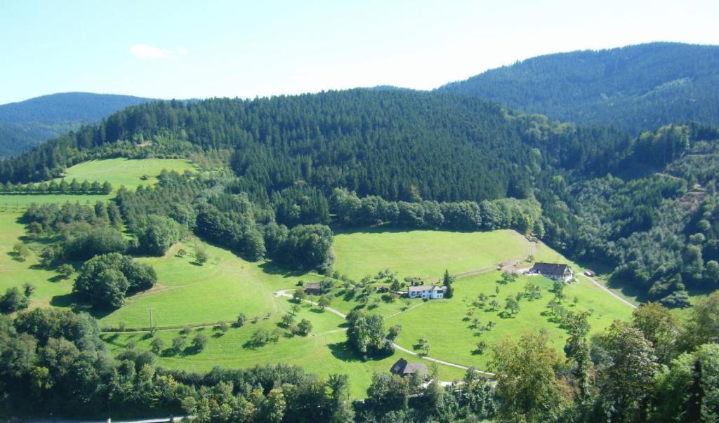 Hotel Schauinsland Bad Peterstal-Griesbach Room photo